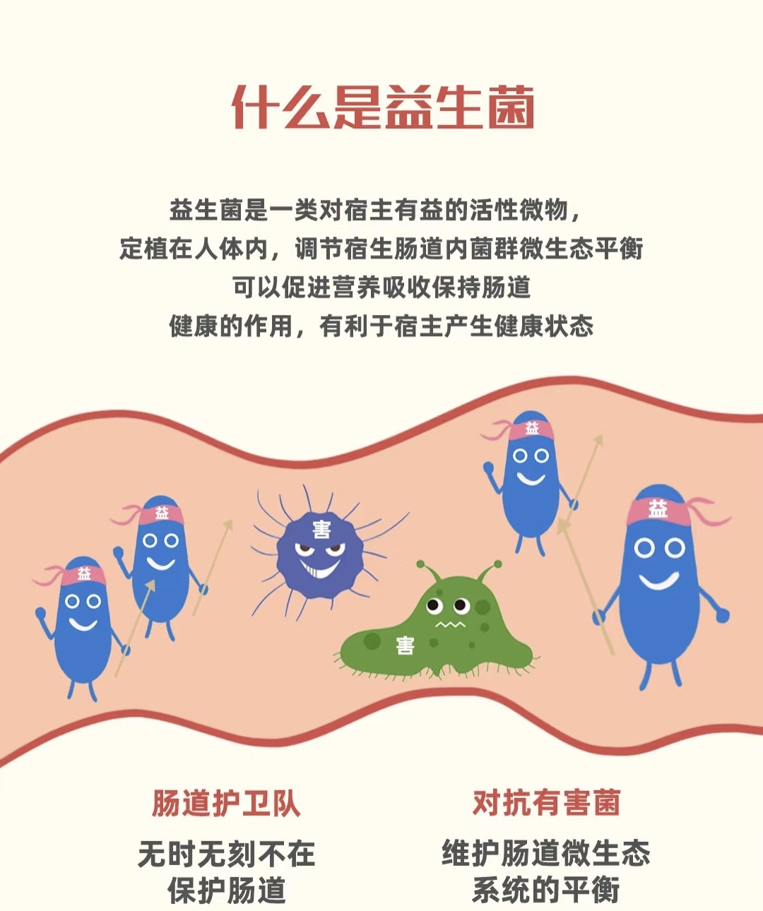 益生菌 肠道健康的忠诚守护者