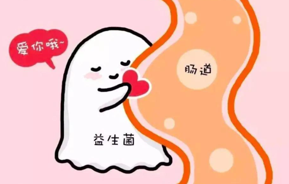 益生菌如何选择？别盲目购买，这款国产益生菌值得你信赖