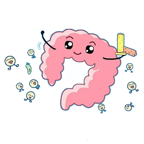 益生菌 肠道里的无名英雄，给你的健康加buff